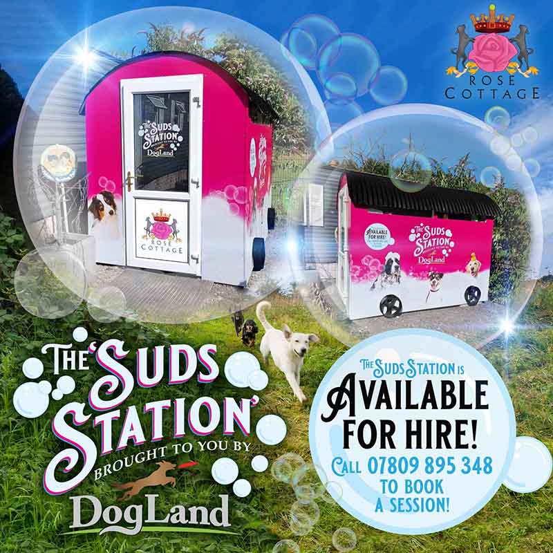 Hire our Suds Station